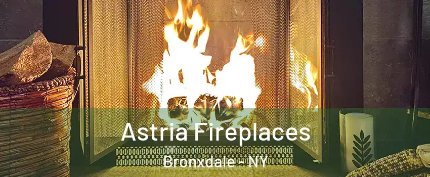 Astria Fireplaces Bronxdale - NY