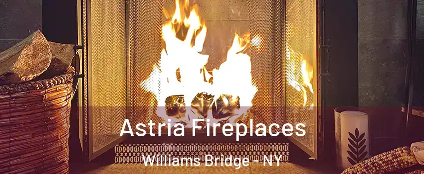 Astria Fireplaces Williams Bridge - NY