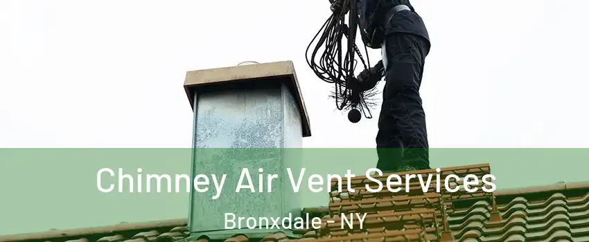 Chimney Air Vent Services Bronxdale - NY