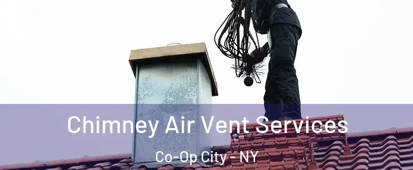 Chimney Air Vent Services Co-Op City - NY