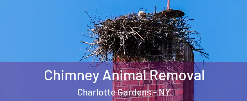 Chimney Animal Removal Charlotte Gardens - NY