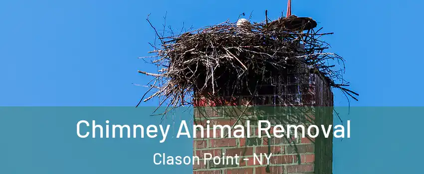 Chimney Animal Removal Clason Point - NY