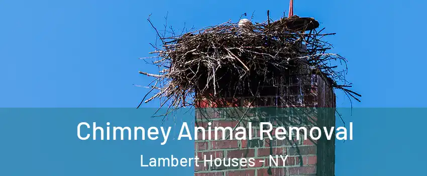 Chimney Animal Removal Lambert Houses - NY