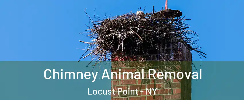 Chimney Animal Removal Locust Point - NY