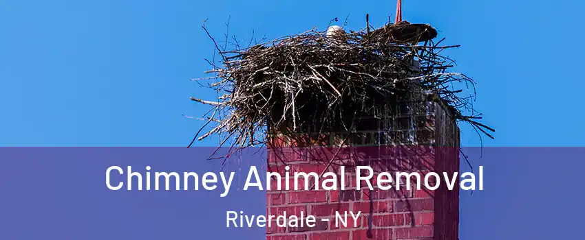 Chimney Animal Removal Riverdale - NY