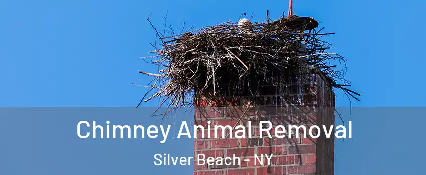 Chimney Animal Removal Silver Beach - NY