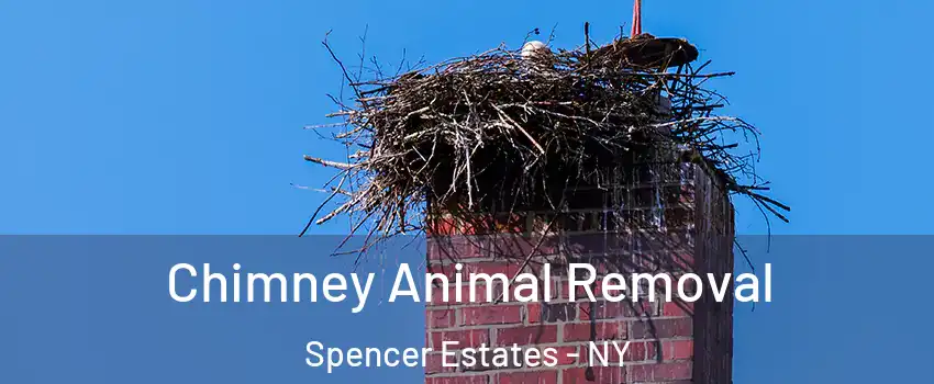 Chimney Animal Removal Spencer Estates - NY