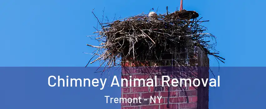 Chimney Animal Removal Tremont - NY