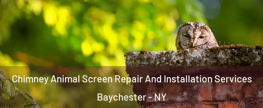 Chimney Animal Screen Repair And Installation Services Baychester - NY