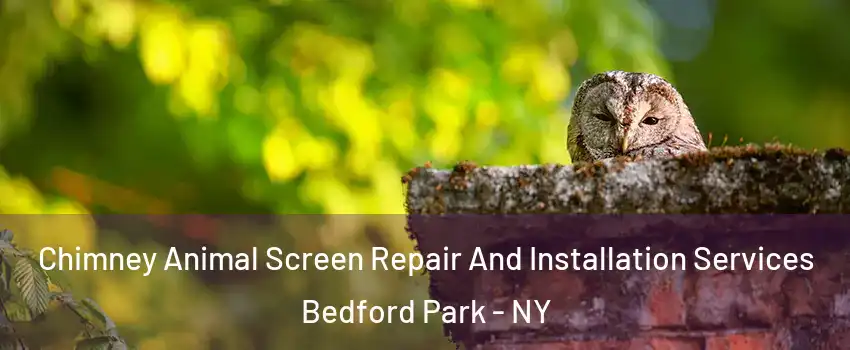 Chimney Animal Screen Repair And Installation Services Bedford Park - NY