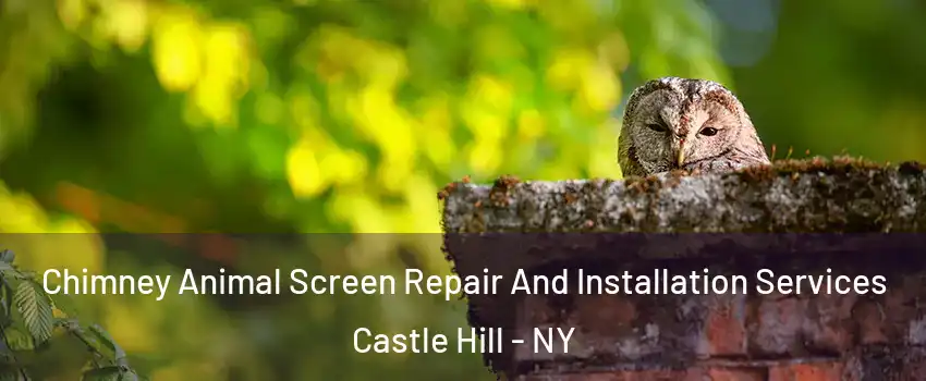 Chimney Animal Screen Repair And Installation Services Castle Hill - NY