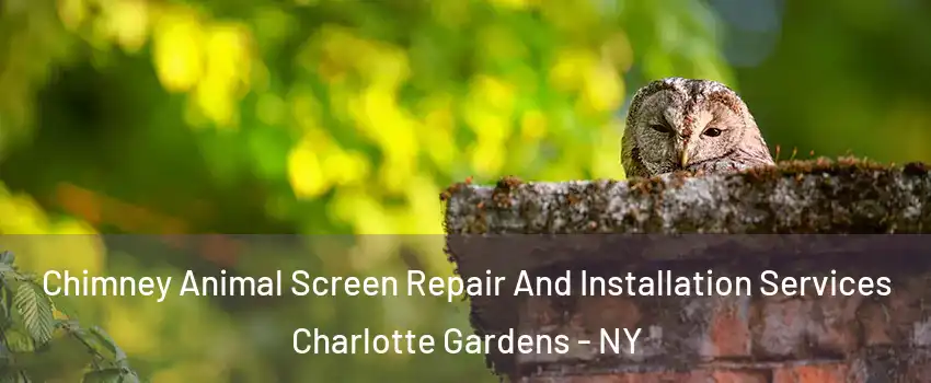 Chimney Animal Screen Repair And Installation Services Charlotte Gardens - NY