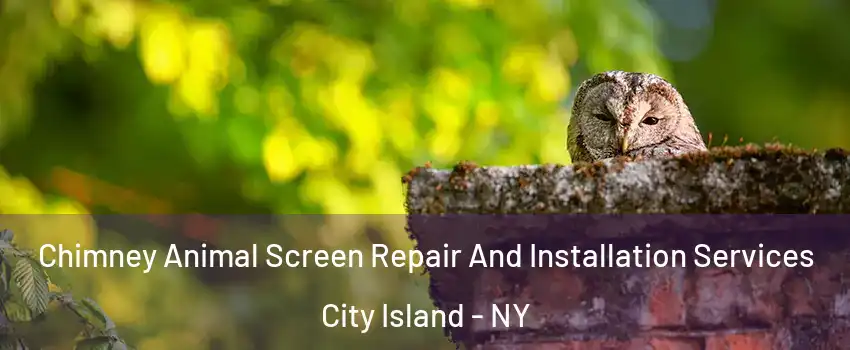 Chimney Animal Screen Repair And Installation Services City Island - NY