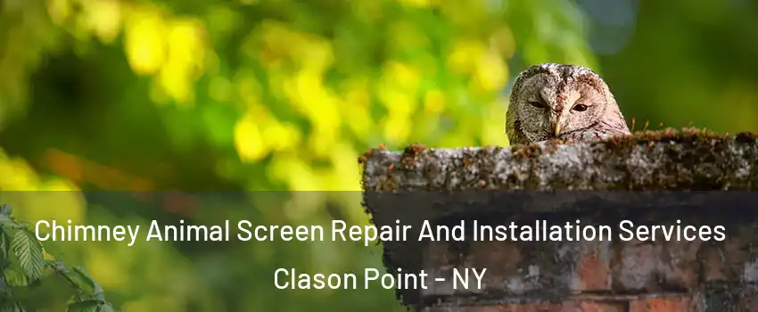 Chimney Animal Screen Repair And Installation Services Clason Point - NY