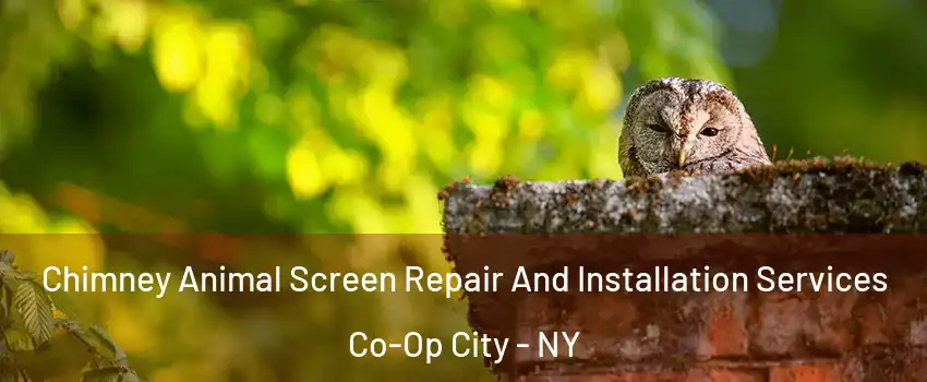 Chimney Animal Screen Repair And Installation Services Co-Op City - NY