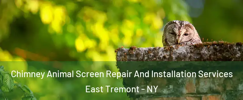 Chimney Animal Screen Repair And Installation Services East Tremont - NY