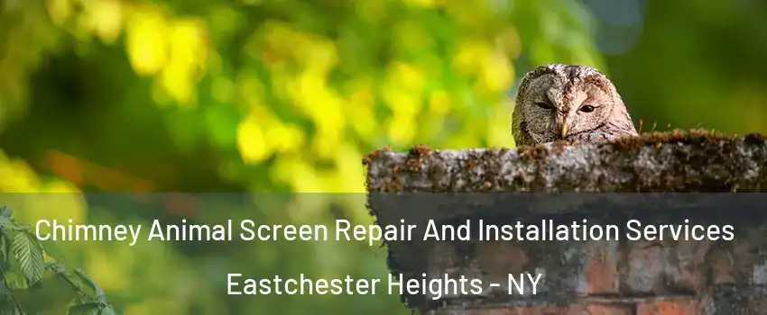 Chimney Animal Screen Repair And Installation Services Eastchester Heights - NY