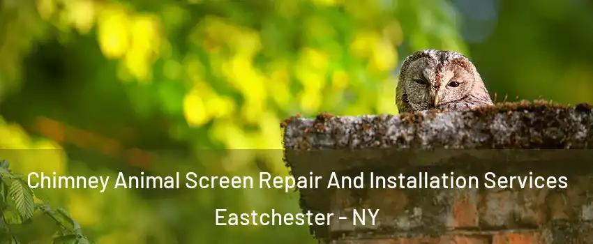 Chimney Animal Screen Repair And Installation Services Eastchester - NY