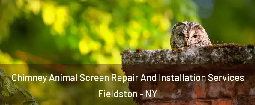 Chimney Animal Screen Repair And Installation Services Fieldston - NY