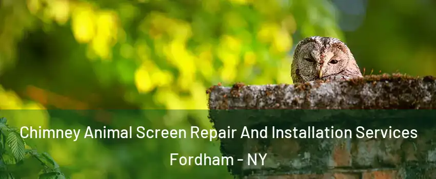 Chimney Animal Screen Repair And Installation Services Fordham - NY