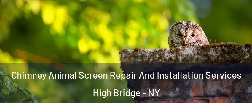 Chimney Animal Screen Repair And Installation Services High Bridge - NY