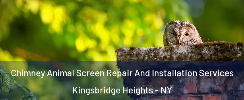 Chimney Animal Screen Repair And Installation Services Kingsbridge Heights - NY