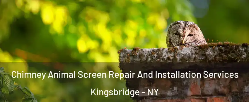 Chimney Animal Screen Repair And Installation Services Kingsbridge - NY