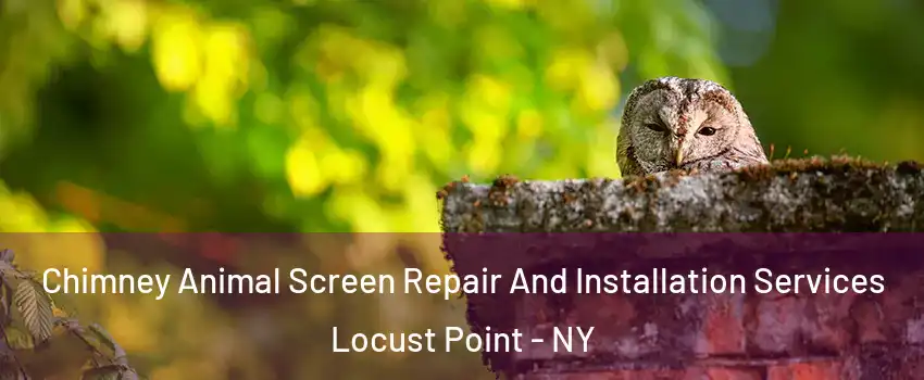 Chimney Animal Screen Repair And Installation Services Locust Point - NY