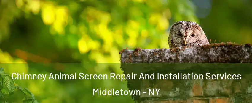 Chimney Animal Screen Repair And Installation Services Middletown - NY