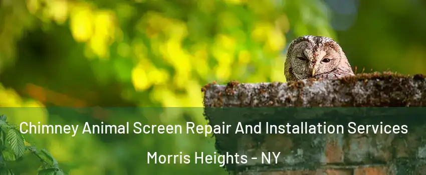 Chimney Animal Screen Repair And Installation Services Morris Heights - NY