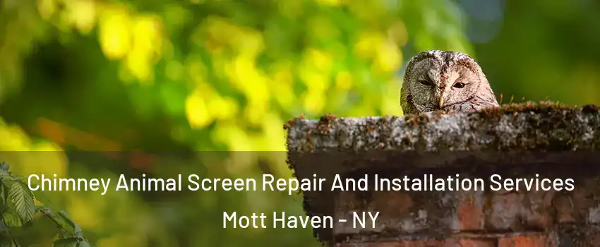 Chimney Animal Screen Repair And Installation Services Mott Haven - NY