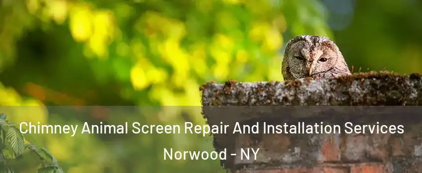 Chimney Animal Screen Repair And Installation Services Norwood - NY