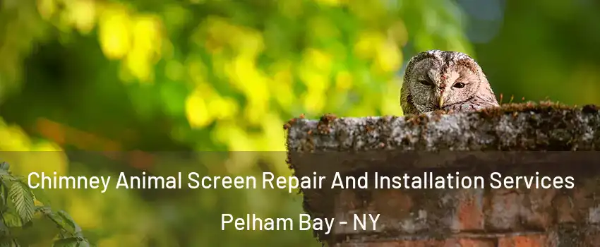 Chimney Animal Screen Repair And Installation Services Pelham Bay - NY