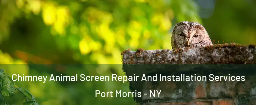 Chimney Animal Screen Repair And Installation Services Port Morris - NY