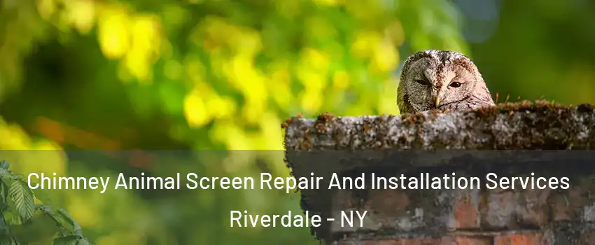 Chimney Animal Screen Repair And Installation Services Riverdale - NY