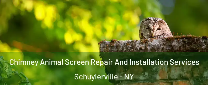 Chimney Animal Screen Repair And Installation Services Schuylerville - NY