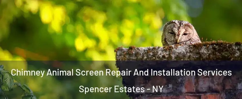 Chimney Animal Screen Repair And Installation Services Spencer Estates - NY