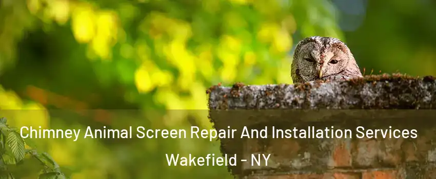 Chimney Animal Screen Repair And Installation Services Wakefield - NY