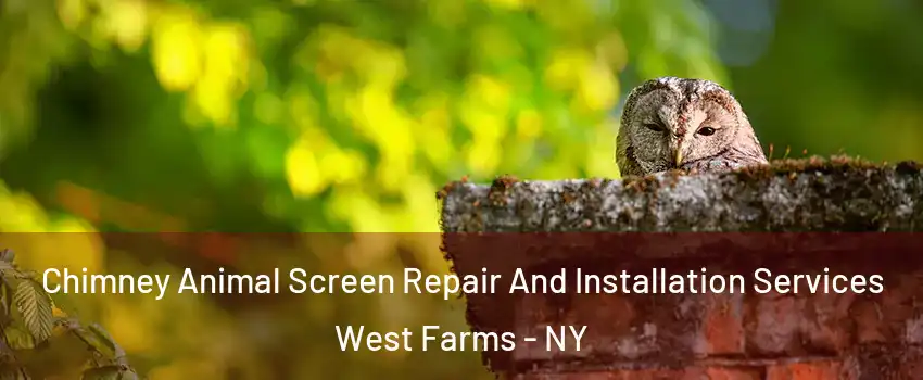 Chimney Animal Screen Repair And Installation Services West Farms - NY