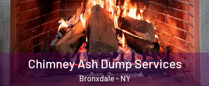 Chimney Ash Dump Services Bronxdale - NY