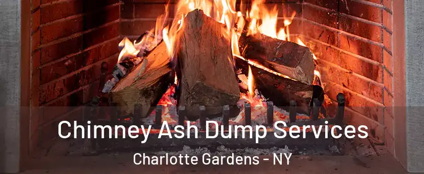 Chimney Ash Dump Services Charlotte Gardens - NY