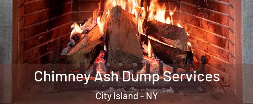 Chimney Ash Dump Services City Island - NY