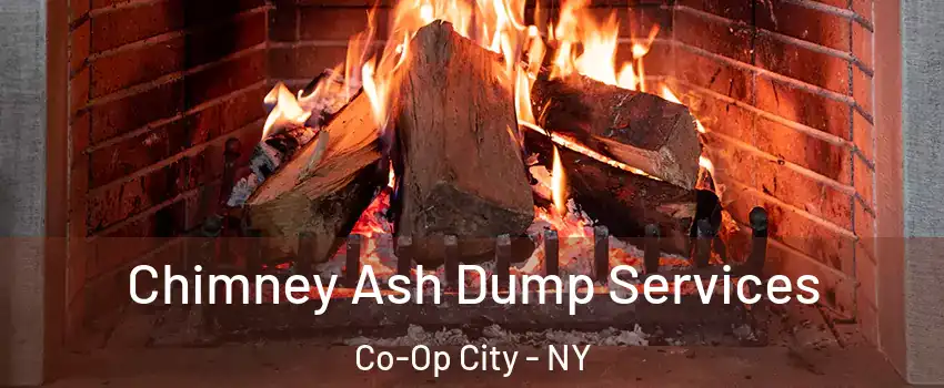 Chimney Ash Dump Services Co-Op City - NY