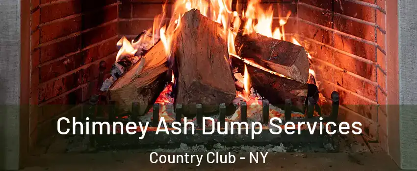 Chimney Ash Dump Services Country Club - NY