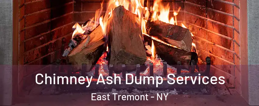 Chimney Ash Dump Services East Tremont - NY