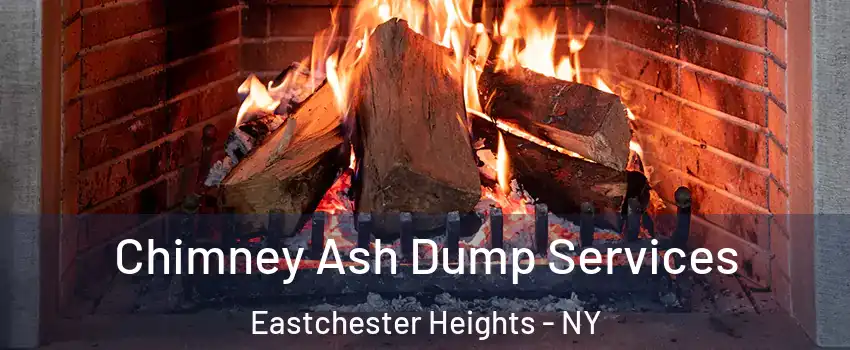 Chimney Ash Dump Services Eastchester Heights - NY