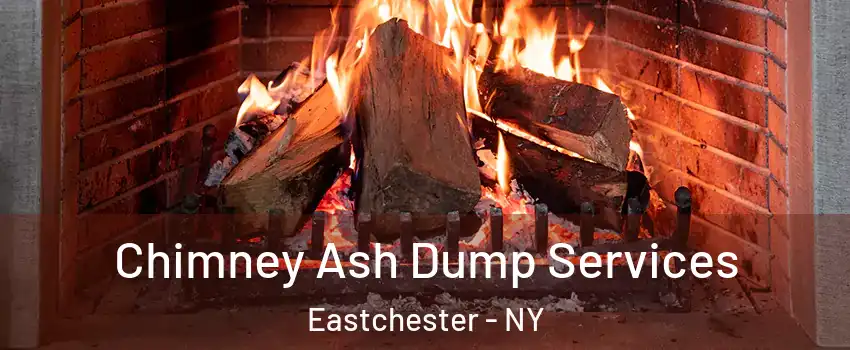 Chimney Ash Dump Services Eastchester - NY