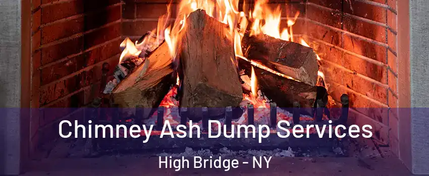 Chimney Ash Dump Services High Bridge - NY