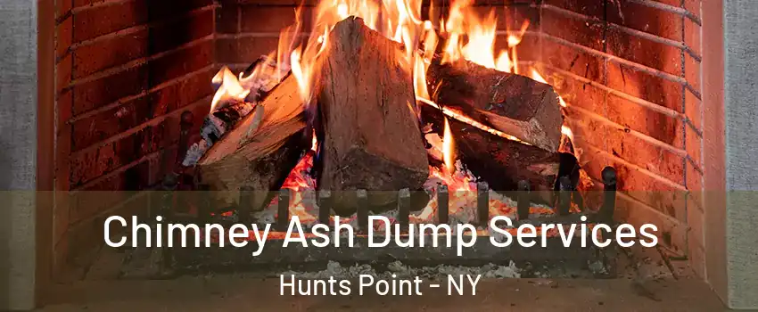 Chimney Ash Dump Services Hunts Point - NY