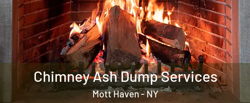 Chimney Ash Dump Services Mott Haven - NY